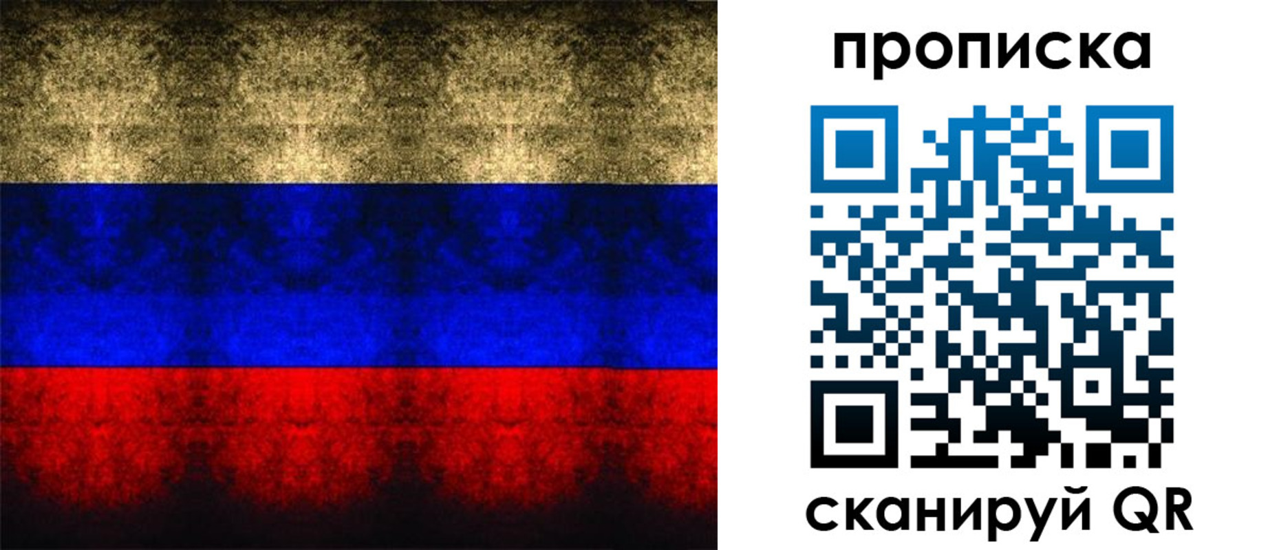 временная прописка в Камешково